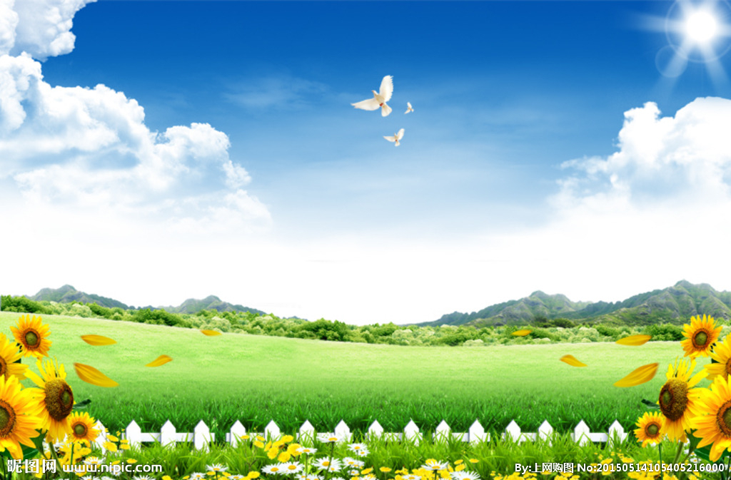 动画电影《飞鸭向前冲》:笑中启发,温馨感动,带你奇幻之旅